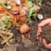 A close-up of agricultural waste, including orange vegetable peels and broken eggshells, next to a pair of hands holding rich, dark compost soil.