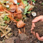 A close-up of agricultural waste, including orange vegetable peels and broken eggshells, next to a pair of hands holding rich, dark compost soil.