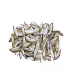 Fresh Desi Mola (Mourala) Fish – 1 Kg - Image 3