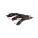 Fresh Desi Shing Fish