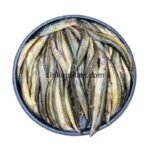 Desi Chikra Baim Fish (Spiny Eel)