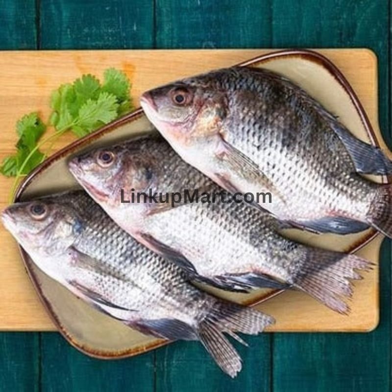 Fresh Tilapia Fish