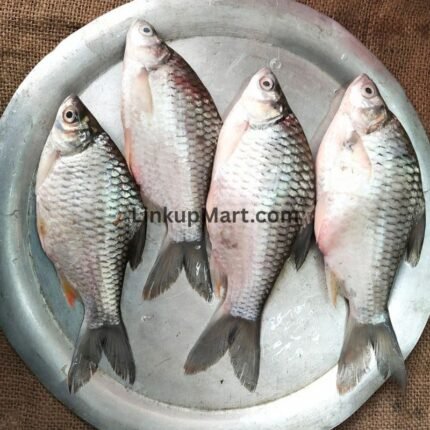 Desi Sarputi Fish (Punti)