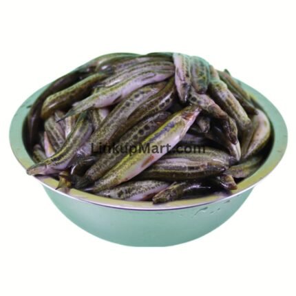 Desi Gutum Fish (Guntea Loach)