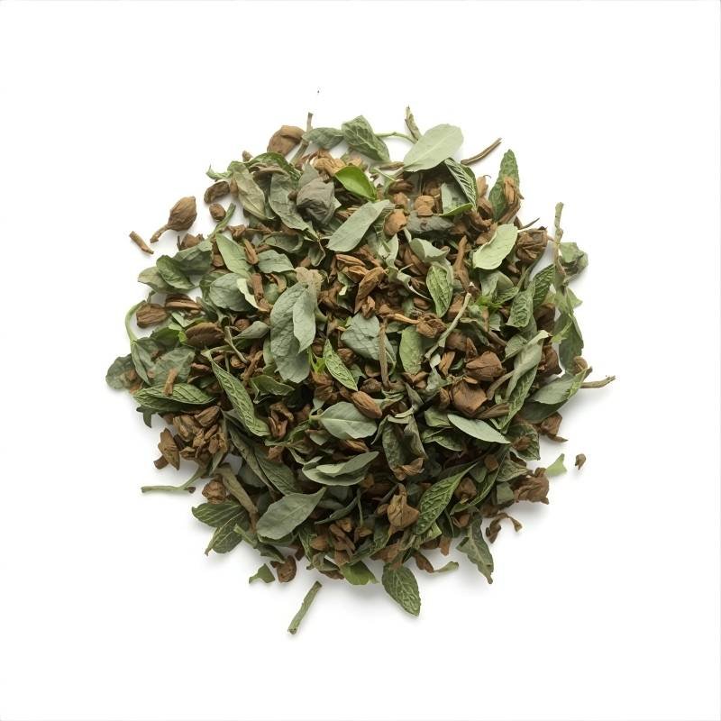 Untitled design 11 1