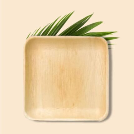 Areca Square Plate – Eco-Friendly & Biodegradable Dinner Plates | 100% Natural Palm Leaf