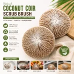 Natural Coconut Coir Scrub Brush – Eco-Friendly Round Kitchen Cleaning Scrubber